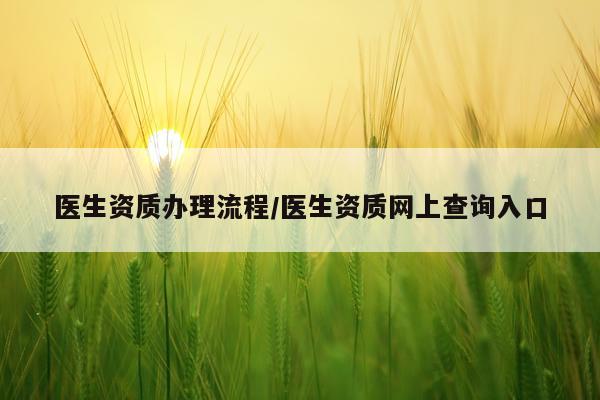 医生资质办理流程/医生资质网上查询入口