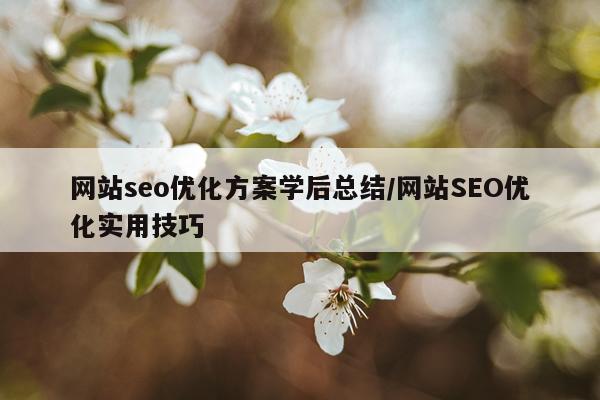 网站seo优化方案学后总结/网站SEO优化实用技巧