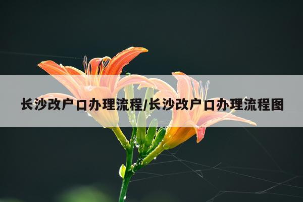 长沙改户口办理流程/长沙改户口办理流程图