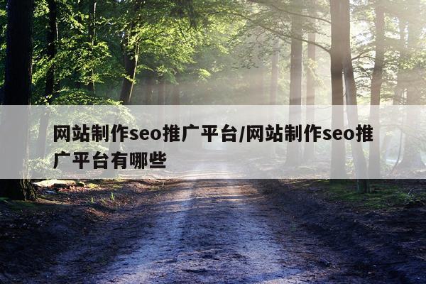网站制作seo推广平台/网站制作seo推广平台有哪些