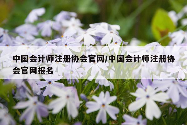 中国会计师注册协会官网/中国会计师注册协会官网报名