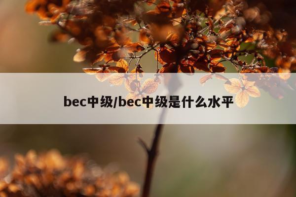 bec中级/bec中级是什么水平