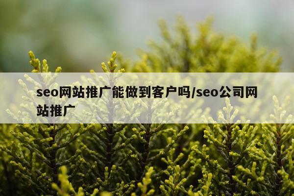 seo网站推广能做到客户吗/seo公司网站推广