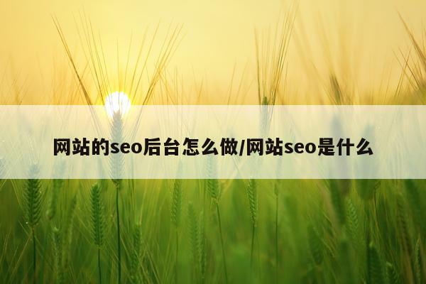 网站的seo后台怎么做/网站seo是什么