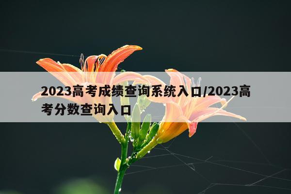 2023高考成绩查询系统入口/2023高考分数查询入口