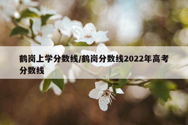 鹤岗上学分数线/鹤岗分数线2022年高考分数线