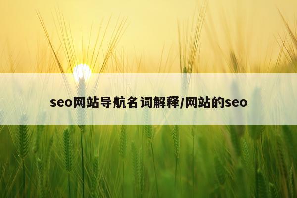 seo网站导航名词解释/网站的seo