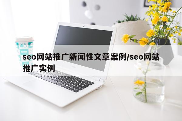 seo网站推广新闻性文章案例/seo网站推广实例