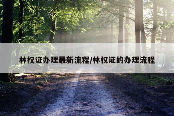 林权证办理最新流程/林权证的办理流程