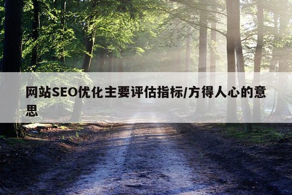 网站SEO优化主要评估指标/方得人心的意思