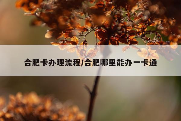 合肥卡办理流程/合肥哪里能办一卡通