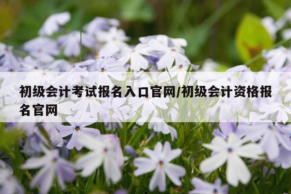 初级会计考试报名入口官网/初级会计资格报名官网