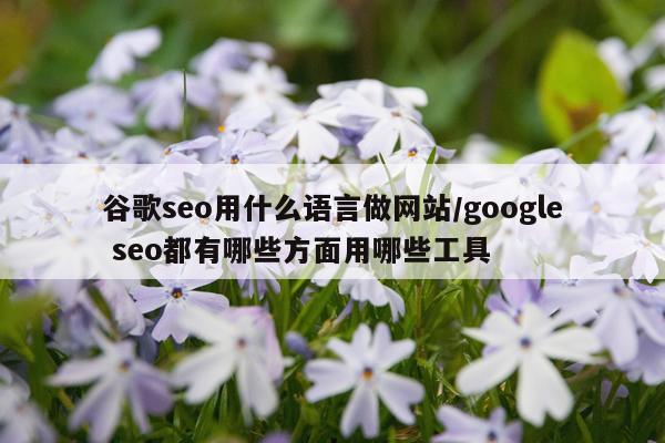 谷歌seo用什么语言做网站/google seo都有哪些方面用哪些工具