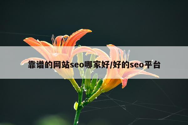 靠谱的网站seo哪家好/好的seo平台
