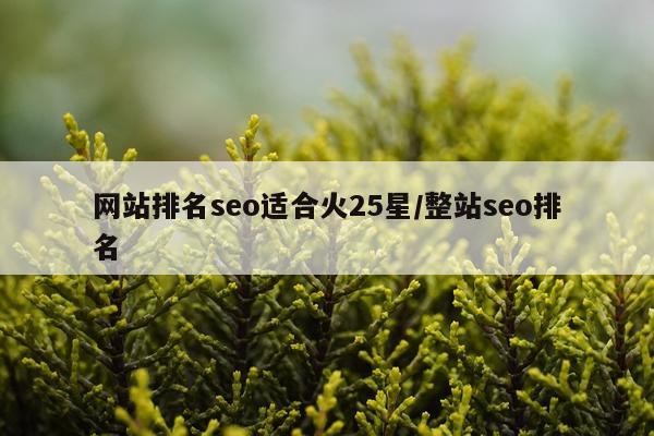 网站排名seo适合火25星/整站seo排名
