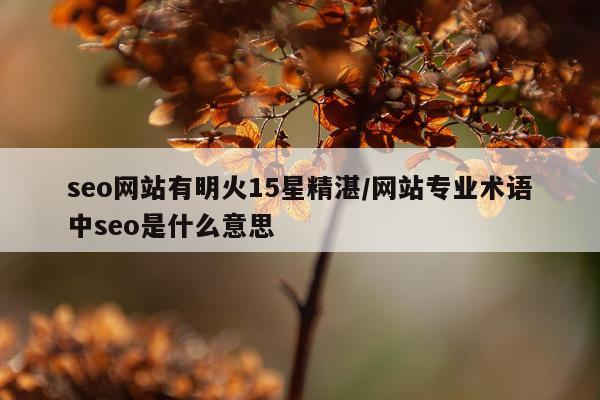 seo网站有明火15星精湛/网站专业术语中seo是什么意思