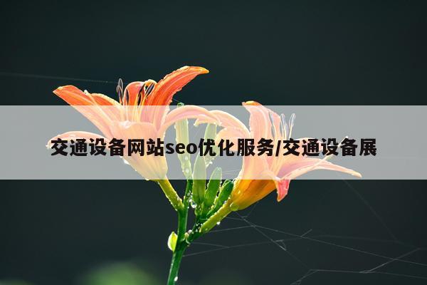 交通设备网站seo优化服务/交通设备展