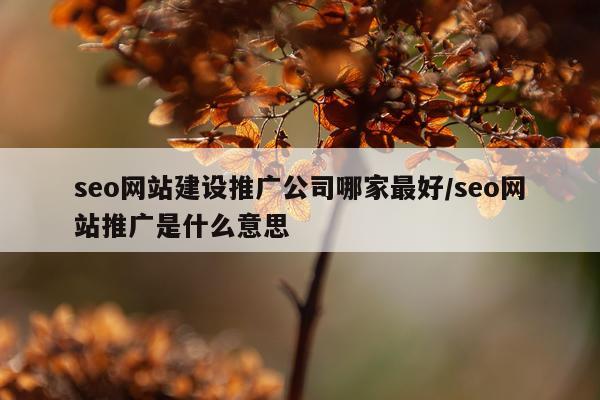 seo网站建设推广公司哪家最好/seo网站推广是什么意思