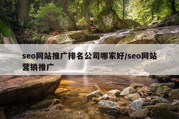 seo网站推广排名公司哪家好/seo网站营销推广