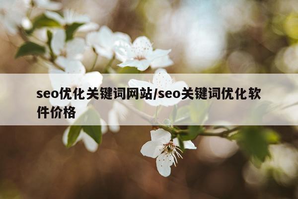 seo优化关键词网站/seo关键词优化软件价格