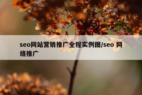 seo网站营销推广全程实例图/seo 网络推广