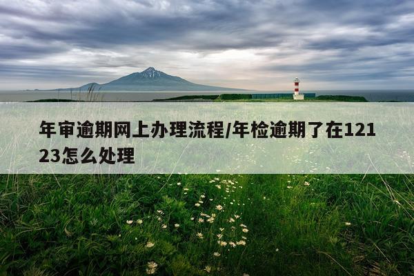 年审逾期网上办理流程/年检逾期了在12123怎么处理