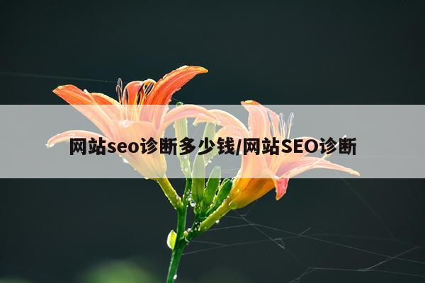 网站seo诊断多少钱/网站SEO诊断