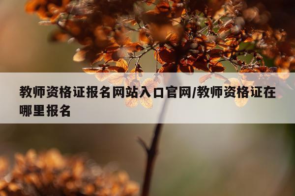 教师资格证报名网站入口官网/教师资格证在哪里报名
