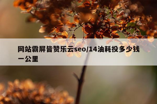 网站霸屏皆赞乐云seo/14油耗投多少钱一公里