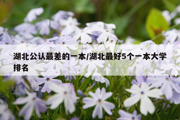 湖北公认最差的一本/湖北最好5个一本大学排名