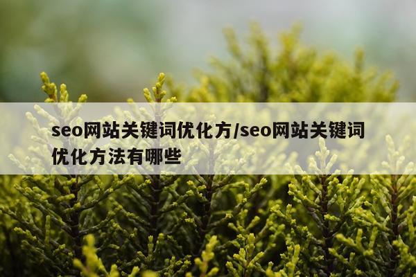 seo网站关键词优化方/seo网站关键词优化方法有哪些