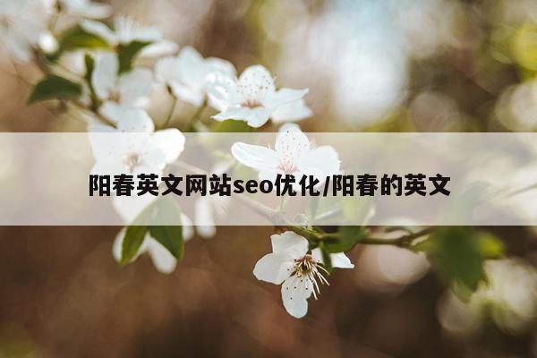 阳春英文网站seo优化/阳春的英文