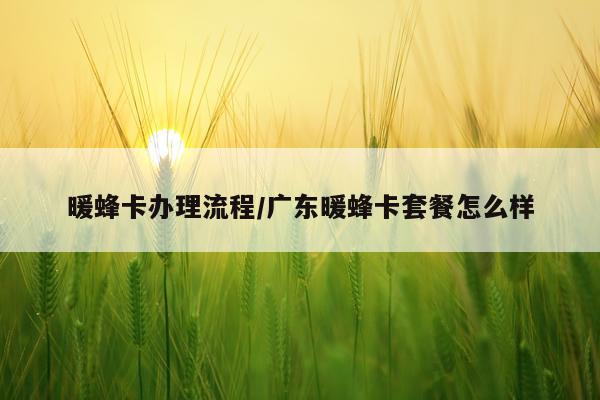 暖蜂卡办理流程/广东暖蜂卡套餐怎么样