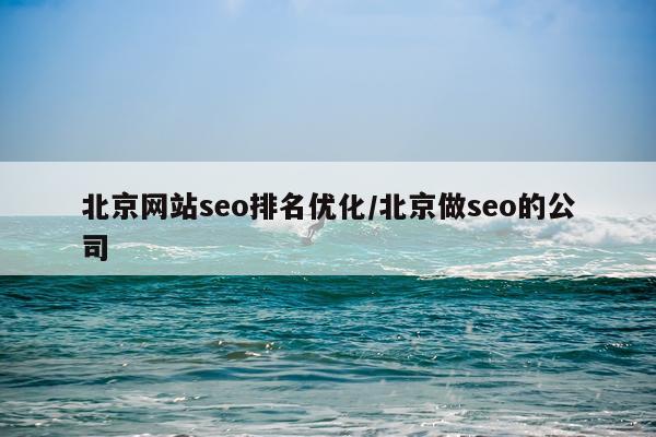 北京网站seo排名优化/北京做seo的公司