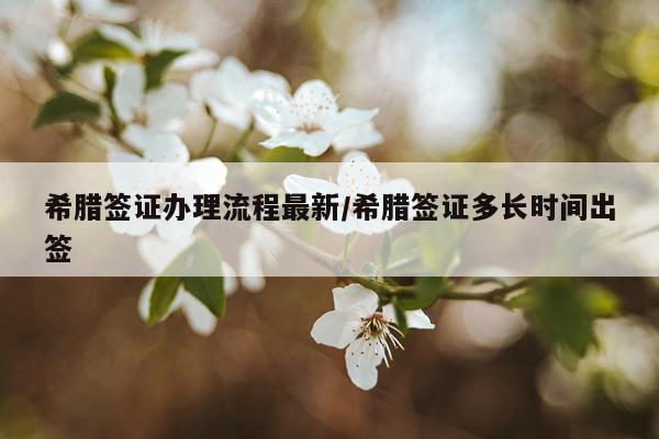 希腊签证办理流程最新/希腊签证多长时间出签