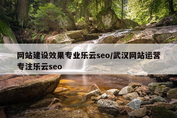 网站建设效果专业乐云seo/武汉网站运营专注乐云seo