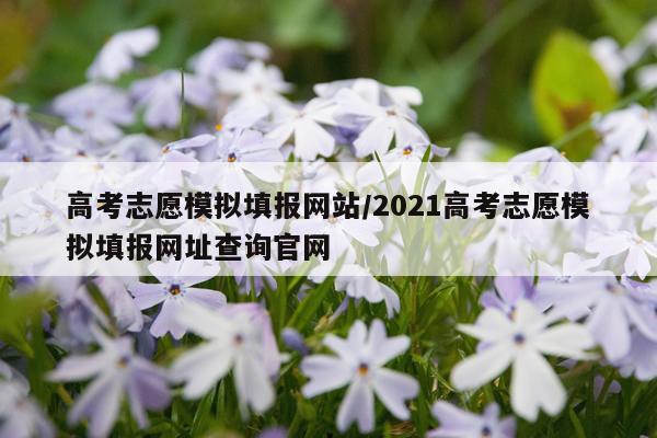 高考志愿模拟填报网站/2021高考志愿模拟填报网址查询官网