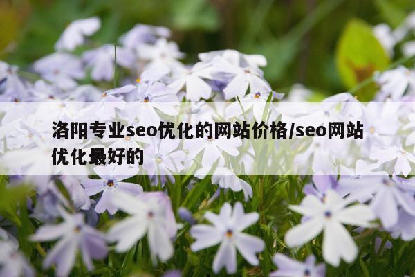 洛阳专业seo优化的网站价格/seo网站优化最好的