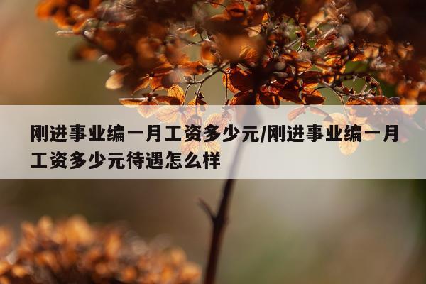 刚进事业编一月工资多少元/刚进事业编一月工资多少元待遇怎么样