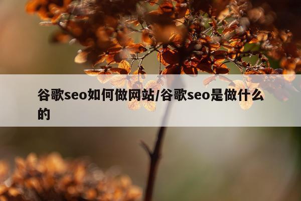 谷歌seo如何做网站/谷歌seo是做什么的