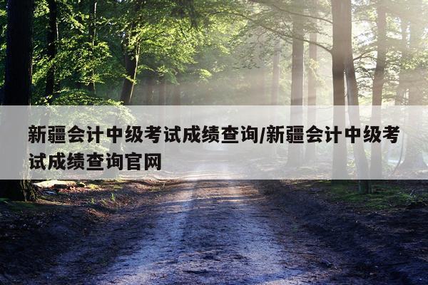 新疆会计中级考试成绩查询/新疆会计中级考试成绩查询官网