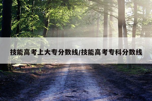 技能高考上大专分数线/技能高考专科分数线
