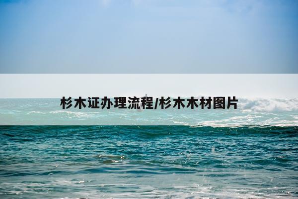 杉木证办理流程/杉木木材图片