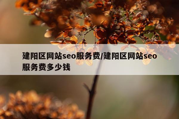 建阳区网站seo服务费/建阳区网站seo服务费多少钱