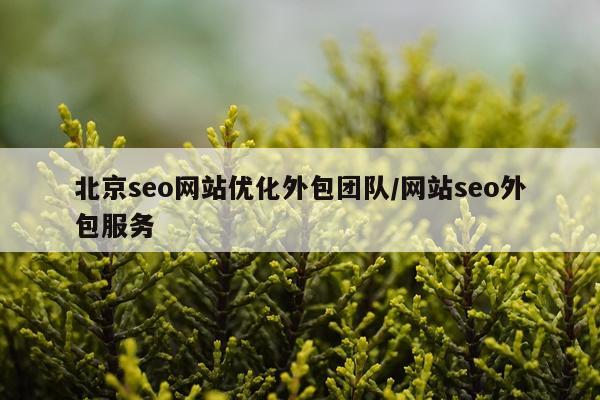北京seo网站优化外包团队/网站seo外包服务