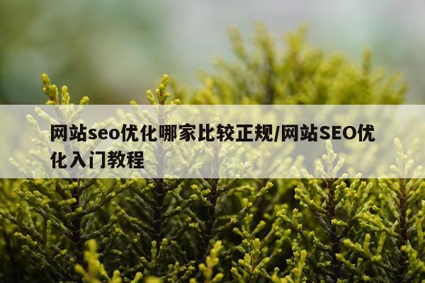 网站seo优化哪家比较正规/网站SEO优化入门教程