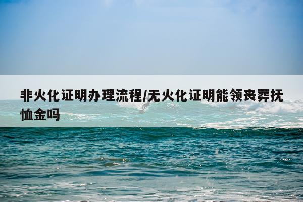 非火化证明办理流程/无火化证明能领丧葬抚恤金吗