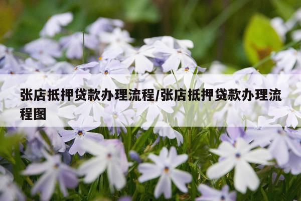 张店抵押贷款办理流程/张店抵押贷款办理流程图