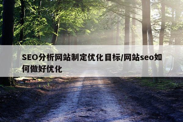 SEO分析网站制定优化目标/网站seo如何做好优化
