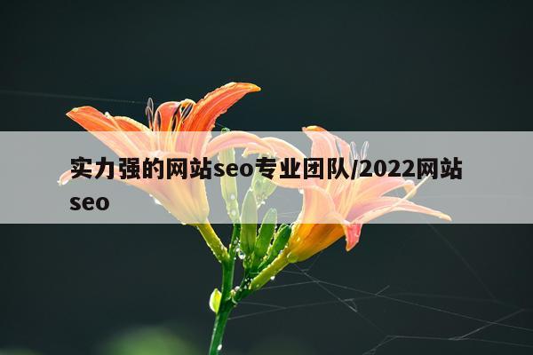 实力强的网站seo专业团队/2022网站seo